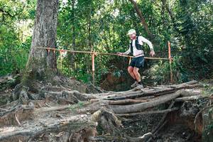 BIB: 
                            <button type="button" onclick="openModal(27745738)" class="btn btn-primary btn-sm float-right btn-popup" data-toggle="modal" data-target=".modal-high-quality">
                        <i class="fas fa-shopping-cart"></i> Add to Cart
                    </button>
                                            <button type="button" onclick="isThisMe(27745738, true)" class="btn btn-success btn-sm float-right btn-popup btn-isme hidden" data-toggle="tooltip" data-placement="bottom" title="นี่คือรูปของคุณใช่ไหม คลิกที่นี่เพื่อเอาเข้าอัลบั้ม">
                        <i class="fas fa-plus"></i> Add to album
                    </button>
                    <button type="button" onclick="isThisMe(27745738, false)" class="btn btn-warning btn-sm float-right btn-popup btn-isnotme hidden">
                        <i class="fas fa-ban"></i> Remove from album
                    </button>